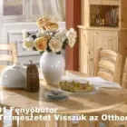10 üzleti kép 1001 FENYŐBÚTOR Üzletek ban/ben Győr GS