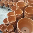 6 üzleti kép A ZÖLD SZÉPSÉG KERTÉSZETI ÁRUDA Üzletek ban/ben Várpalota VE