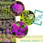 6 üzleti kép A ZÖLD SZÉPSÉG KERTÉSZETI ÁRUDA Kertészet ban/ben Várpalota VE