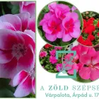 7 üzleti kép A ZÖLD SZÉPSÉG KERTÉSZETI ÁRUDA Kertészet ban/ben Várpalota VE