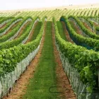 10 üzleti kép AGROFOL MAGYARORSZÁG KFT. Üzleti szolgáltatások ban/ben Szeged CS