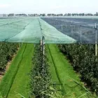 12 üzleti kép AGROFOL MAGYARORSZÁG KFT. Üzleti szolgáltatások ban/ben Szeged CS