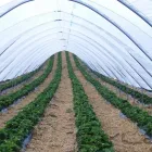 15 üzleti kép AGROFOL MAGYARORSZÁG KFT. Üzleti szolgáltatások ban/ben Szeged CS