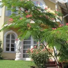 15 üzleti kép ALEX APARTMAN Parkolás ban/ben Gyömrő PE