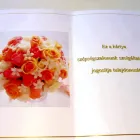10 üzleti kép ALEXANDRA SZÉPSÉGSZALON Üzleti szolgáltatások ban/ben Miskolc BZ