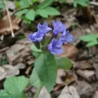 2 üzleti kép ALFACONT KFT Üzleti szolgáltatások ban/ben Kecskemét BK