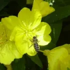 3 üzleti kép ALFACONT KFT Üzleti szolgáltatások ban/ben Kecskemét BK