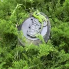 8 üzleti kép ALFACONT KFT Üzleti szolgáltatások ban/ben Kecskemét BK