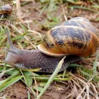 11 üzleti kép ALFACONT KFT Üzleti szolgáltatások ban/ben Kecskemét BK