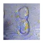 2 üzleti kép ALFÖLD KONTROLL KFT Jármű műszaki vizsgáztatás ban/ben Szeged CS