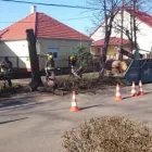 1 üzleti kép ANTAL TŰZ- ÉS MUNKAVÉDELEM Üzleti szolgáltatások ban/ben Győr GS