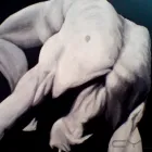 3 üzleti kép APOLLO CREATIVE STUDIO Üzleti szolgáltatások ban/ben Miskolc BZ