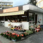 1 üzleti kép ARAD UTCAI VIRÁGBOLT Virágok, virágpiac, virágküldés ban/ben Balatonfüred VE