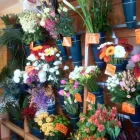 2 üzleti kép ARAD UTCAI VIRÁGBOLT Virágok, virágpiac, virágküldés ban/ben Balatonfüred VE