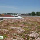 1 üzleti kép ARCHIGREEN ZÖLDTETŐ KFT. Üzletek ban/ben Győr GS