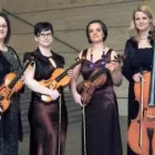 1 üzleti kép ARCO NOBILE VONÓSNÉGYES Kultúra & Művészet ban/ben Debrecen HB