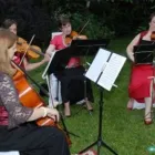 2 üzleti kép ARCO NOBILE VONÓSNÉGYES Kultúra & Művészet ban/ben Debrecen HB