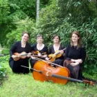 3 üzleti kép ARCO NOBILE VONÓSNÉGYES Kultúra & Művészet ban/ben Debrecen HB