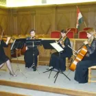 5 üzleti kép ARCO NOBILE VONÓSNÉGYES Kultúra & Művészet ban/ben Debrecen HB