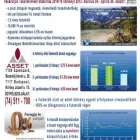 1 üzleti kép ASSET PÉNZÜGYI SZOLGÁLTATÓ ÉS TANÁCSADÓ KORLÁTOLT FELELŐSSÉGŰ TÁRSASÁG Pénzügyi tanácsadó ban/ben Szekszárd TO