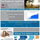 5 üzleti kép ASSET PÉNZÜGYI SZOLGÁLTATÓ ÉS TANÁCSADÓ KORLÁTOLT FELELŐSSÉGŰ TÁRSASÁG Pénzügyi tanácsadó ban/ben Szekszárd TO
