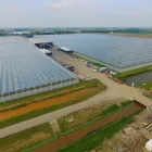 1 üzleti kép ASTER-RR GREENHOUSES & PLANT B.V. Üzletek ban/ben Magyarkanizsa - Kanjiza VA