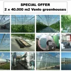 3 üzleti kép ASTER-RR GREENHOUSES & PLANT B.V. Üzletek ban/ben Magyarkanizsa - Kanjiza VA