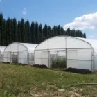 7 üzleti kép ASTER-RR GREENHOUSES & PLANT B.V. Üzletek ban/ben Magyarkanizsa - Kanjiza VA