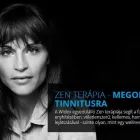 1 üzleti kép AUDIOFON HALLÓKÉSZÜLÉK SZAKÜZLET Hallókészülék gyártó, forgalmazó ban/ben Győr GS