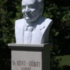 1 üzleti kép BÁNFI ANTAL EGYÉNI VÁLLALKOZÓ Otthon és Építőipar ban/ben Orosháza BC