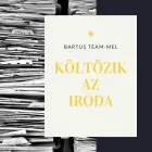 2 üzleti kép BARTUS TEAM KÖLTÖZTETŐ CÉG Tárolók, raktárak ban/ben Kecskemét BK