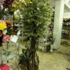2 üzleti kép BELLA FIORI KFT. Virágüzlet, virágkötészet ban/ben Budapest PE