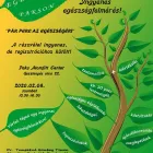 8 üzleti kép BENCSIKDESIGN STÚDIÓ Webdesign, grafika ban/ben Szekszárd TO