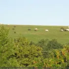 11 üzleti kép BODZAVIRÁG VENDÉGHÁZ Sport & Szabadidő ban/ben Szilvásvárad HE