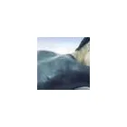 2 üzleti kép BOLUS ALBA Szépségszalon, kozmetika ban/ben Budapest