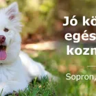 1 üzleti kép BUFI KUTYAKOZMETIKA Kutyakozmetika ban/ben Sopron GS