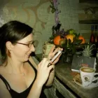 8 üzleti kép CAFÉ AMARETTO VENDÉGLŐ Vendéglátás ban/ben Szekszárd TO