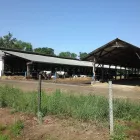 10 üzleti kép CANKÓ 2000 KFT. Mezőgazdaság ban/ben Bogyoszló GS