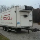 2 üzleti kép CARRIER TRANSICOLD HUNGARY Autóklíma, járműklíma ban/ben Szigetszentmiklós PE