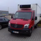 30 üzleti kép CARRIER TRANSICOLD HUNGARY Autóklíma, járműklíma ban/ben Szigetszentmiklós PE