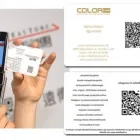 2 üzleti kép COLOR CARD INFORMATIKAI KFT. Üzleti szolgáltatások ban/ben Székesfehérvár FE