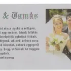 3 üzleti kép COLOR CARD INFORMATIKAI KFT. Üzleti szolgáltatások ban/ben Székesfehérvár FE