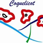 1 üzleti kép COQUELICOT NYELVISKOLA Oktatás ban/ben Pécs BA