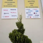 1 üzleti kép CSER-VILL HÁZTARTÁSIGÉP SZERVIZ Háztartási gépek javítása, alkatrészek ban/ben Székesfehérvár FE