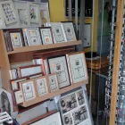 3 üzleti kép CSILLAG OPTIKA Optika, optikai cikkek ban/ben Kapuvár GS