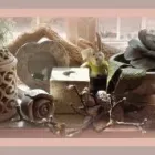 2 üzleti kép CSILLAGVIRÁG STÚDIÓ EXKLUZÍV VIRÁGUDVAR Virágüzlet, virágkötészet ban/ben Kaposvár SO