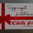 2 üzleti kép CSILLI-VILLI AUTÓMOSÓ-AUTÓKOZMETIKA Szőnyegtisztítás ban/ben Tatabánya KE