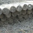 2 üzleti kép CSORDÁS ISTVÁN NÁDTETŐ-NÁDSZÖVET-NÁDPADLÓ KÉSZITŐ .EV. Otthon és Építőipar ban/ben Pákozd FE