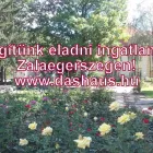 3 üzleti kép DAS HAUS IMMOBILIEN KFT. Otthon és Építőipar ban/ben Zalaegerszeg ZA