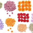 1 üzleti kép DEKORKERT MŰNÖVÉNY - MŰVIRÁG - DEKORÁCIÓ Virágüzlet, virágkötészet ban/ben Abda GS